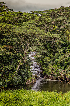 Kauai Hindu Monastery View